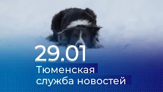 Тюменская служба новостей - вечерний выпуск 29 января