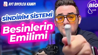 Sindirim Sistemi-4 Besinlerin Emilimi ve Hastalıklar | Ayt Biyoloji Konu Anlatımı 11. Sınıf | 2024