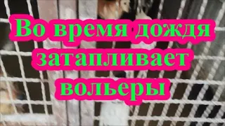 Во время дождя затапливает вольеры