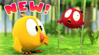 Where's Chicky? NEW SEASON 3 🌺 IS IT SPRING? | Chicky Cartoon in English for Kids