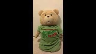 Ted the movie 24 inch talking ted