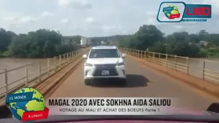 Magal 2020/ Sokhna Aïda Diallo promet un convoi exceptionnel de bœufs: "Cheikh Béthio moy déf"