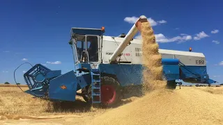 Fortschritt E 512 harvesting  2018.