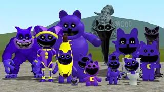 ALL Poppy Playtime CatNap Bosses Fanmade In Garry's Mod