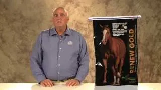 Horse Supplements | Horse Nutrition | Equine Supplements | Horse Feed | Equine Feed