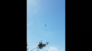 Chinook flyby