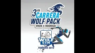 Run for charity in San Miguel de Allende, by Wolf Gym