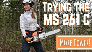 Trying out a Stihl MS 261 C