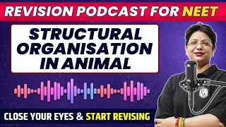 STRUCTURAL ORGANISATION IN ANIMALS in 32 Minutes | Quick Revision PODCAST | Class 11th | NEET