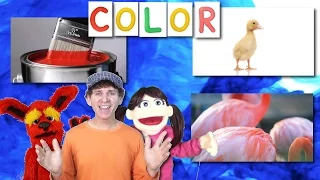 What Color Is it? Song For Kids | Learn with Matt | Learn English Kids