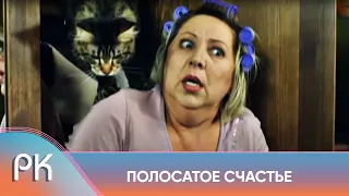 БЕЗ КОТА И ЖИЗНЬ НЕ ТА! КАК ОДИН КОТ ПЕРЕВЕРНУЛ ЖИЗНЬ СЕМЬИ! Полосатое счастье. Русский Канал