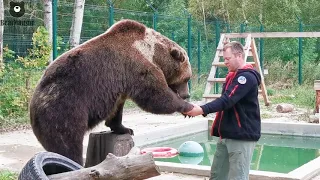 Андрей играет с Мансуром🐻🤗