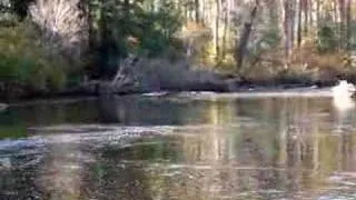 Fishing The Atnarko river in the Bella Coola valley