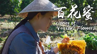 Sweet Present from Nature - Yunnan Honey of Various Flowers