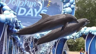 Dolphin Days (Full Show) - SeaWorld Orlando - May 19, 2017