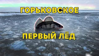 Берш клюет один за другим. Первый лед на Горьковском