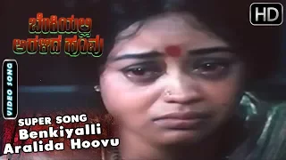 Benkiyalli Aralida Hoovu Kannada Song | Kannada Songs | Benkiyalli Aralida Hoovu Kannada Movie