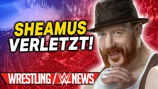 Sheamus verletzt, Ändert RAW den Sendetag? | Wrestling/WWE NEWS 119/2023