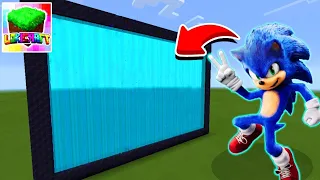 I Made A Portal To SONIC 2 In Lokicraft Hindi