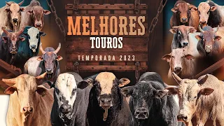 OS 15 MELHORES TOUROS DO BRASIL | TEMPORADA 2023