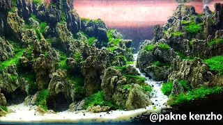 #22 cara bikin aquascape pemula bagian ke 3