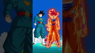 Grand Priest Goku vs Goku