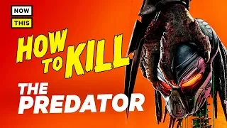 How to Kill the Predator | NowThis Nerd