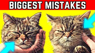 20 Common Mistakes Cat Owners Make - Avoid Upsetting Your Cat (#1 Will Surprise You)