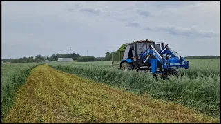 Отличный урожай ОВСА и Вики ! Мы не ожидали. Убираем в удовольствие. 🚜💥💨 за Русь !