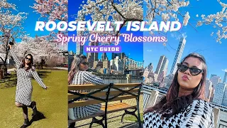 NYC Spring 2024 | Cherry Blossom in Roosevelt Island🌸 | Things to do in Roosevelt Isalnd 🏝️
