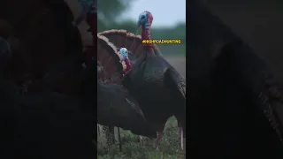 Triple Turkey Kill