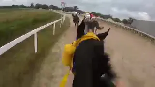 Vencedor do Grande Prêmio Princesa do Sul - Pelotas RS