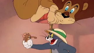 THE KING OF THE JUNGLE REIGNS AGAIN | Tom and Jerry in War of the Whiskers