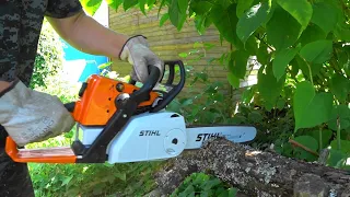 БЕНЗОПИЛА STIHL MS 250C. ОБЗОР. СБОРКА. ПИЛА В РАБОТЕ.