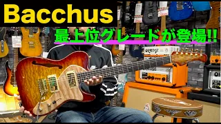 「Bacchus」の最上位グレードが登場！？ボディトップにタモ！ボディ、ネックはキューバンマホガニー！！