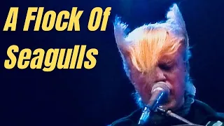 A Flock of Seagulls - Live Concert 1982 HD