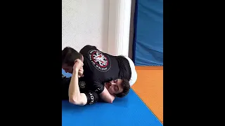 The most brutal Submission ever - the Executioner a.k.a Dragon Sleeper Hold #martialarts #mma #bjj