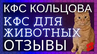 🔥Коты из Сиэтла обожают корректоры ▫️ Отзывы о КФС Кольцова ▫️ КФС для животных