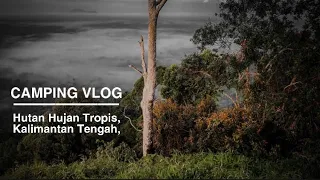 Camping : Explore hutan kalimantan, The Tropical Rainforests Of Borneo #1