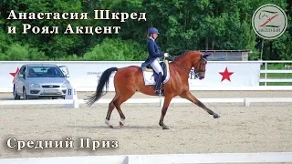 Анастасия Шкред и Роял Акцент. Конный спорт. Выездка. Средний приз - 63,284%