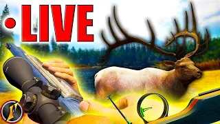 The Ambusher Pack DLC Releases TOMORROW! | One Last Hunt with the New Items LIVE!