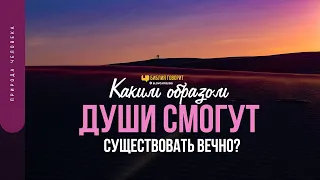 Каким образом души смогут существовать вечно? | "Библия говорит" | 1736