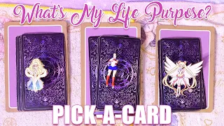 What is my Life Purpose? 🙏🏻 Tarot Pick a Card 🙏🏻