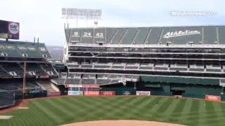 Seagull swarm apparently happy to spend Father's Day in the Coliseum after #Athletics' 10-5 win over