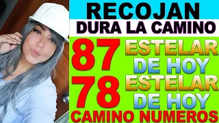 NUMEROS PARA HOY HOY DOMINGO 27 DE JUN 2021 - CAMINO NUMEROS