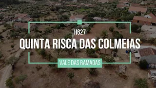 Farm of 4650 m2 with farm house  - € 99,000 - H627  Risca das Colmeias - Santo André das Tojeiras