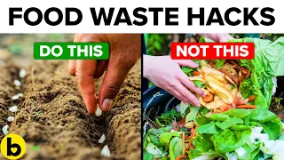 15 Innovative Ways To Use Food Scraps And Stop Wastage