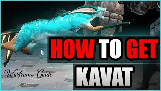 Where to Find Kavat Genetic Codes | Farming Smeeta Kavat | Warframe 2021