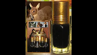 Deer Musk attar recipe - FRAGRANTICIAN