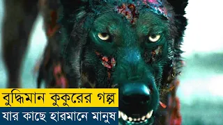 এই গল্প আপনার চোখে পানি নিয়ে আসবে | The Call of the Wild (2020) Movie Explained in Bangla